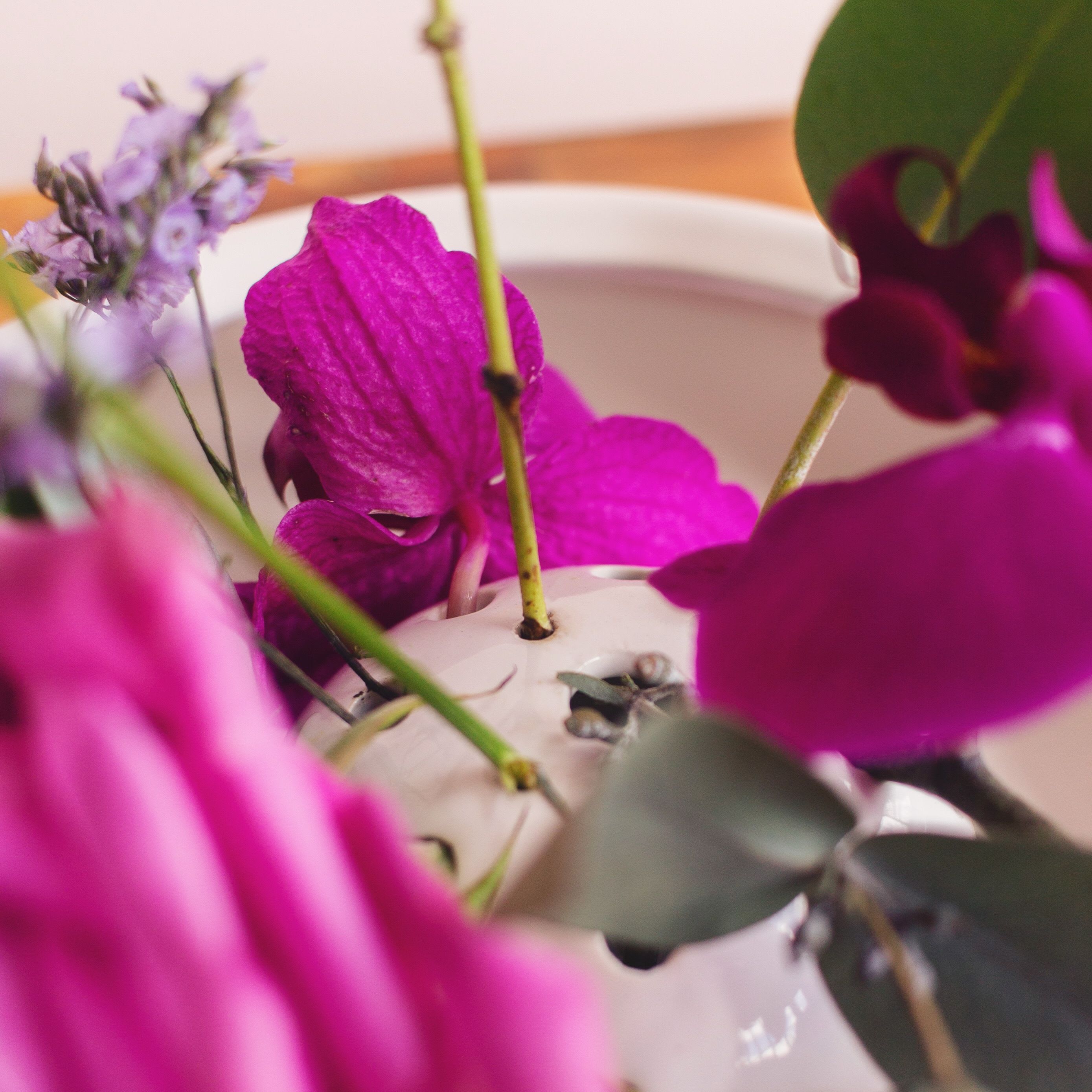 Ikebana Renge - Imagen 2